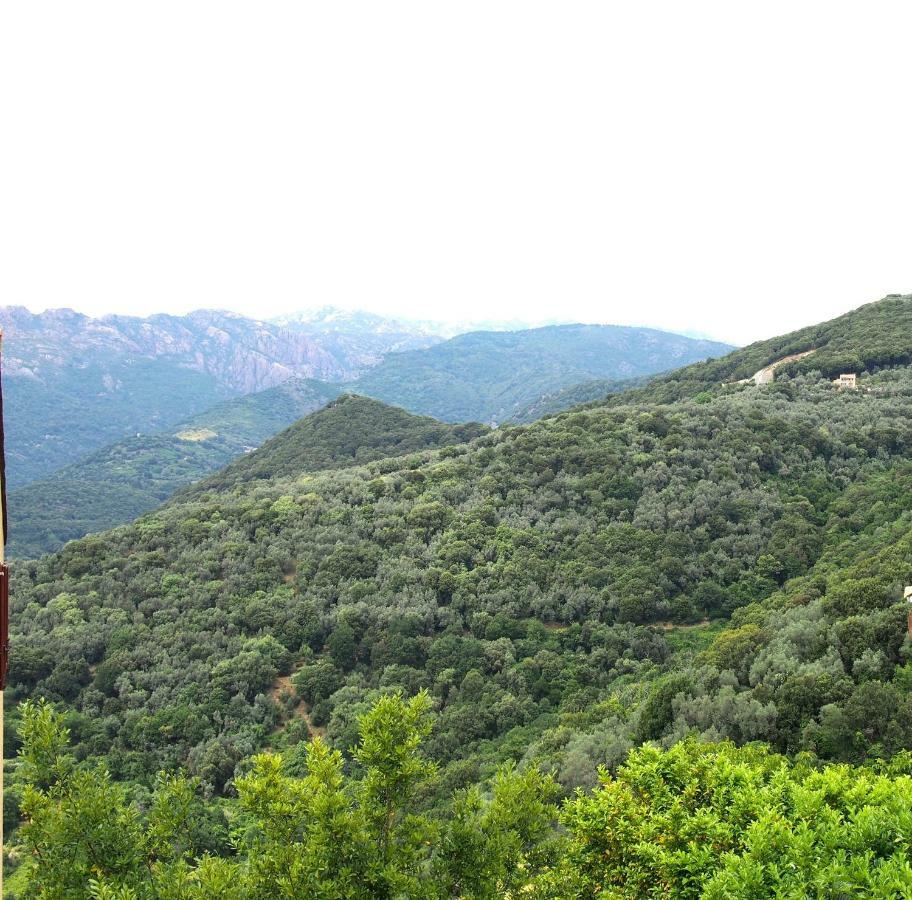 Studio Le Petit Nid D'Amour Meuble Tourisme 3 Etoiles Poggio Santa-Lucia-di-Tallano Bagian luar foto