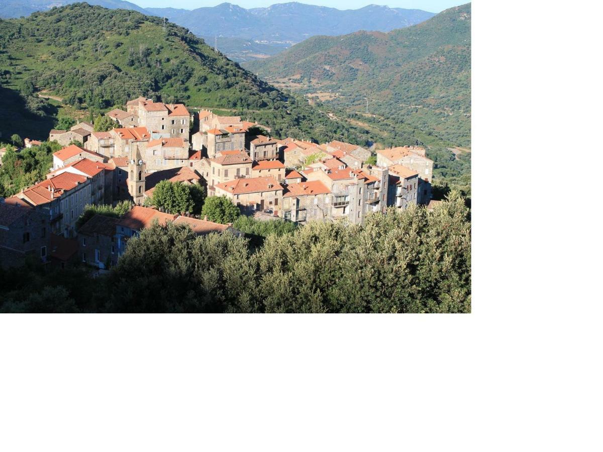 Studio Le Petit Nid D'Amour Meuble Tourisme 3 Etoiles Poggio Santa-Lucia-di-Tallano Bagian luar foto